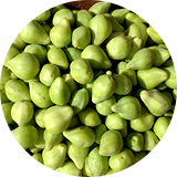Kakadu Plum